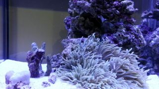Thumbnail of post image 099
