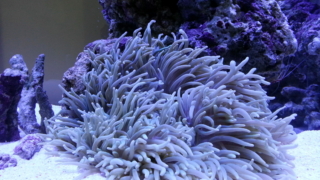 Thumbnail of post image 095