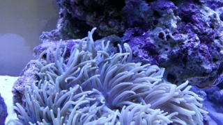 Thumbnail of post image 066