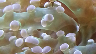 Thumbnail of post image 001