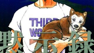Thumbnail of post image 038