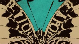 Thumbnail of post image 128