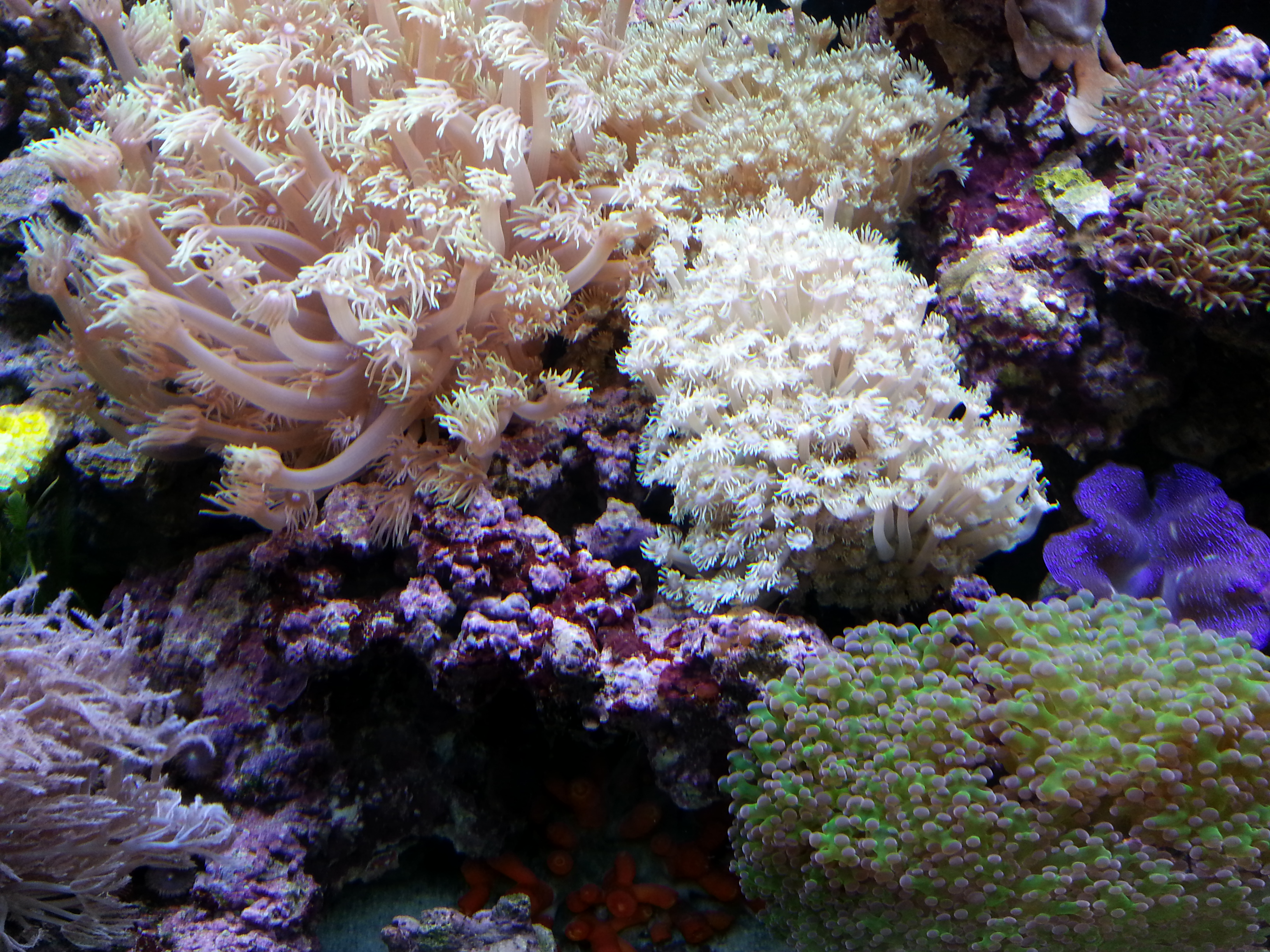 Thumbnail of post image 156