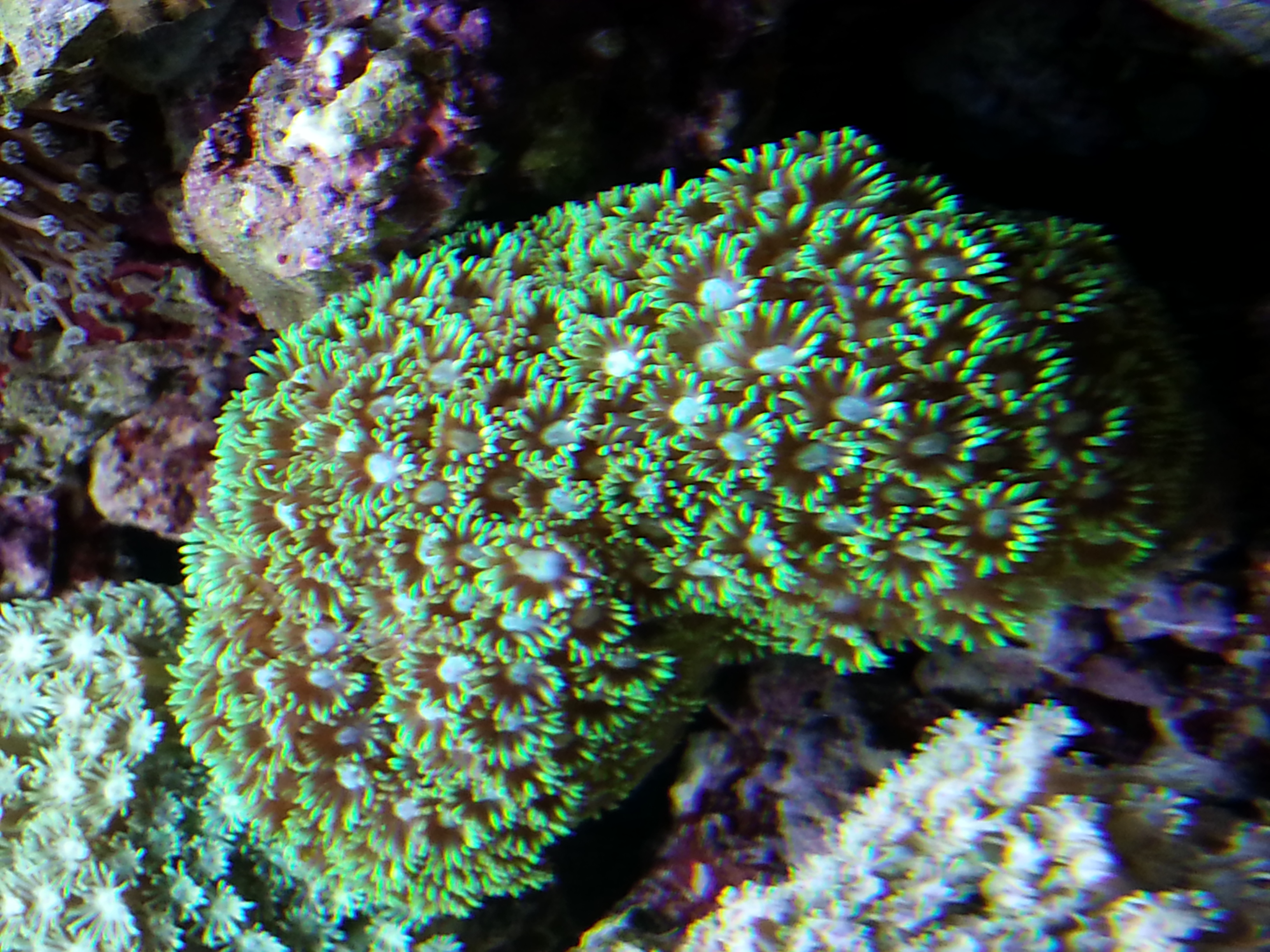 Thumbnail of post image 173